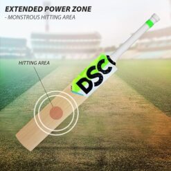 DSC Hitting Zone