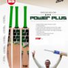 SS QDK Power plus Cricket Bat