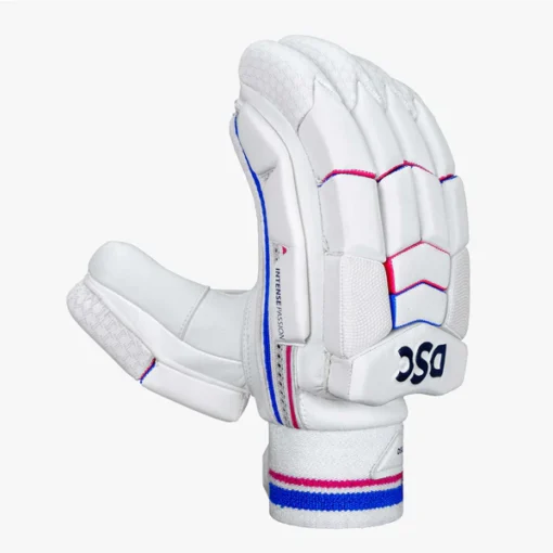 DSC Intense Passion Batting Gloves