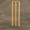 Wooden Cricket Stumps with Bails