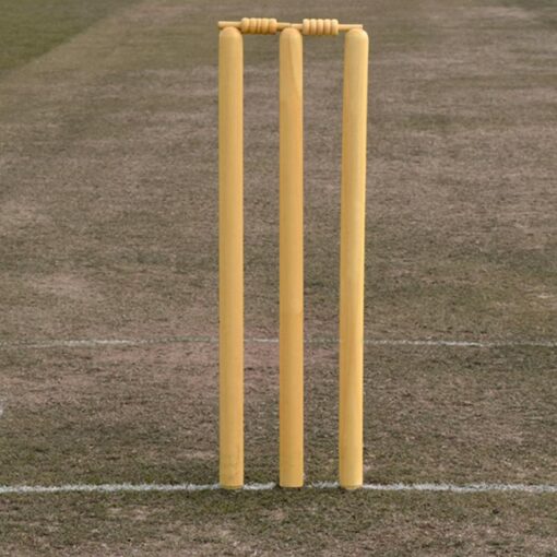 Wooden Cricket Stumps with Bails