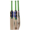 ss dynasty cricket bat