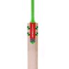 Gray-Nicolls Omega GN5.0 Cricket Bat