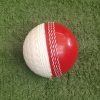 Reverse Swing Cricket Ball