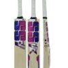 SS SKY Blaster Cricket Bat